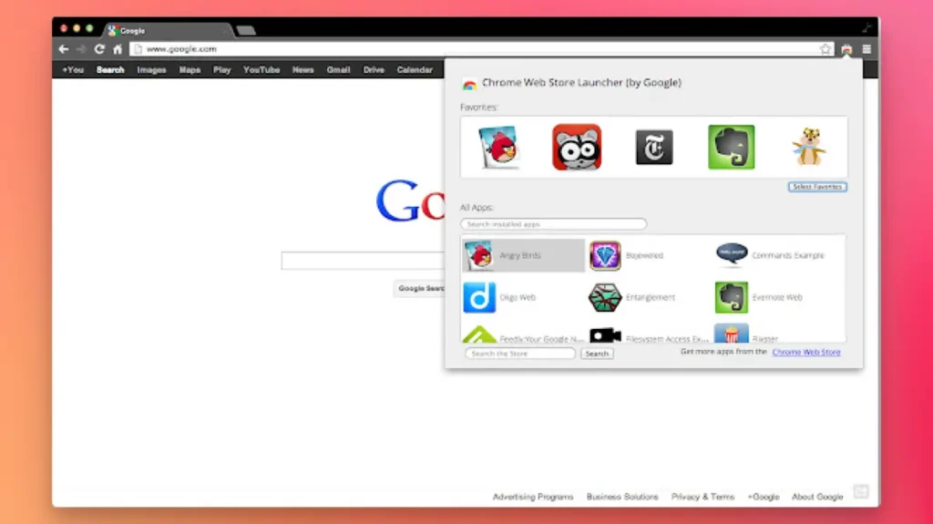Google Chrome - Google Chrome Screenshot 04